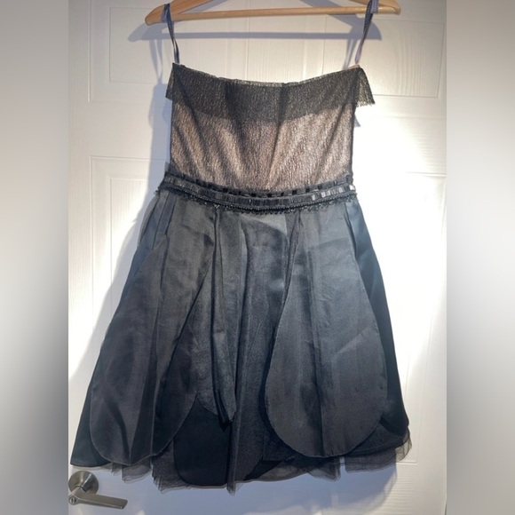 Vera Wang Lavender Label Strapless Silk Mesh Babydoll Mini Dress *Minor Flaws* - Picture 6 of 15